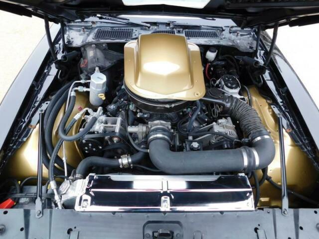1978 Pontiac Trans Am MACHO DKM #67 - photo 2