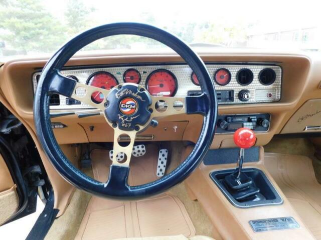 1978 Pontiac Trans Am MACHO DKM #67 - photo 8