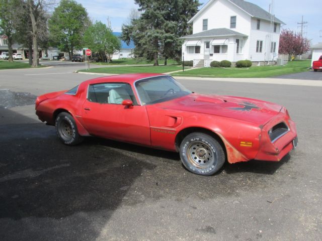 1978 Pontiac Trans Am TRANS AM - photo 7