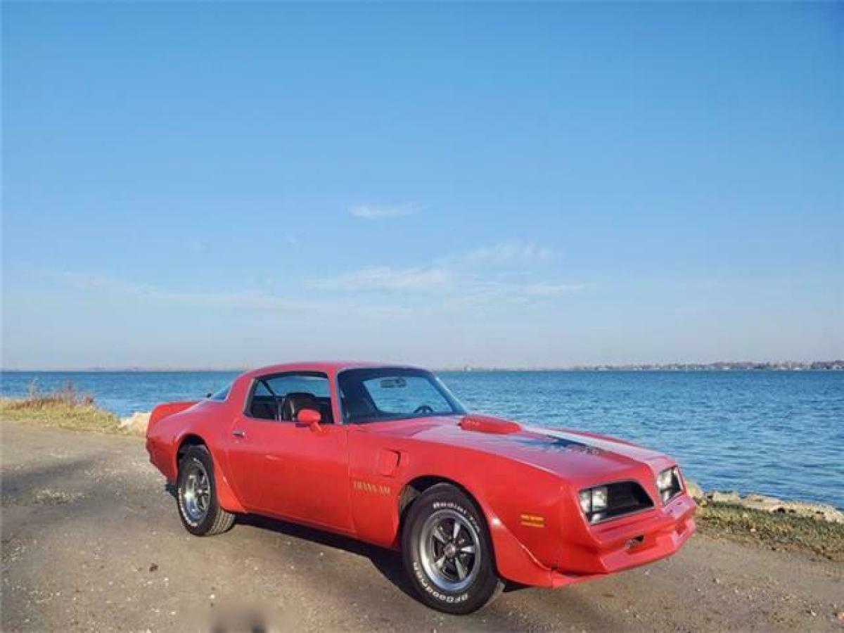 1978 Pontiac Trans Am - photo 4