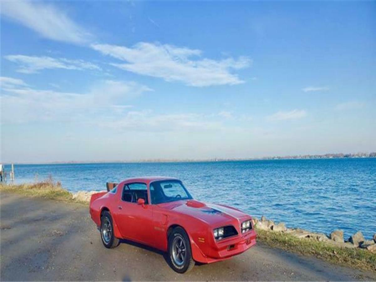 1978 Pontiac Trans Am - photo 5