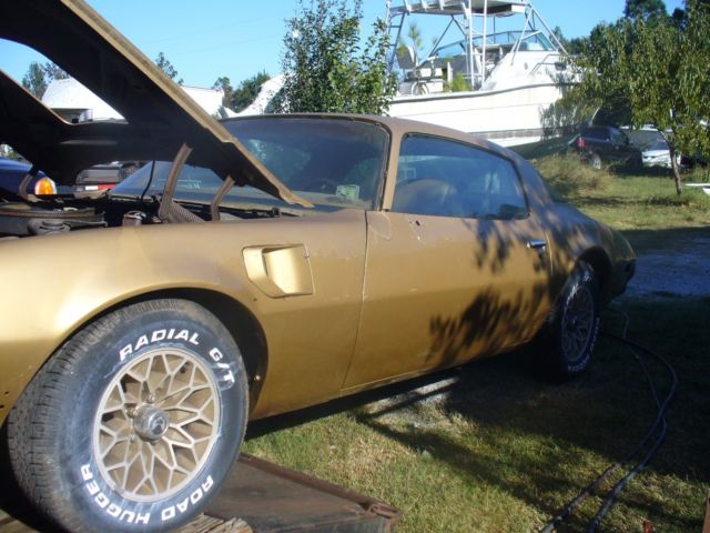 1978 Pontiac Trans Am - photo 3