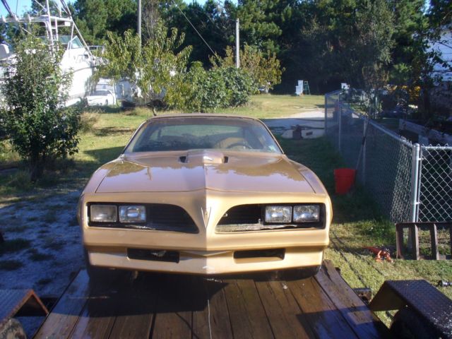 1978 Pontiac Trans Am - photo 3