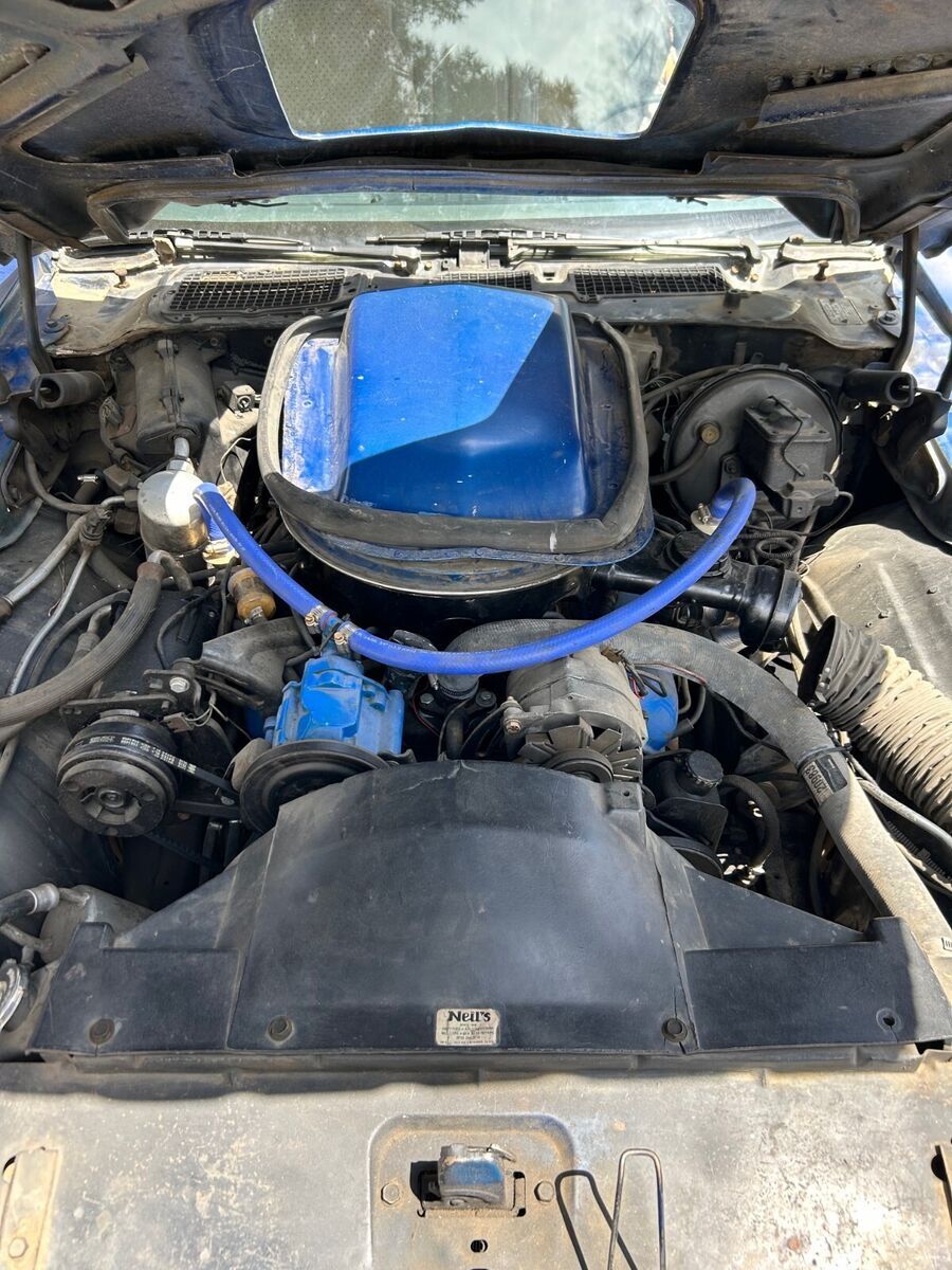 1978 Pontiac Trans Am - photo 10