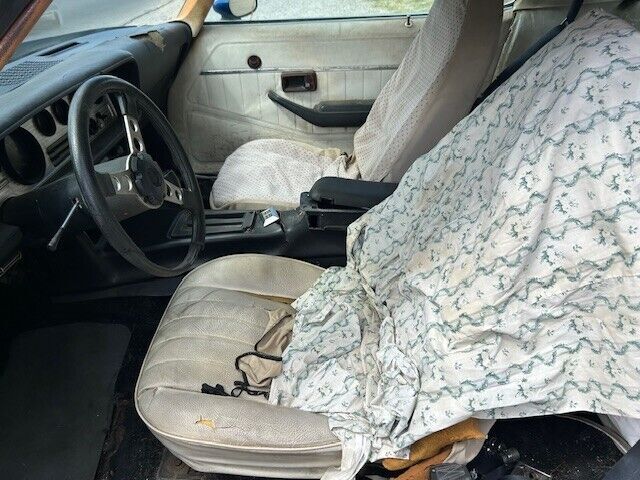 1978 Pontiac Trans Am - photo 13