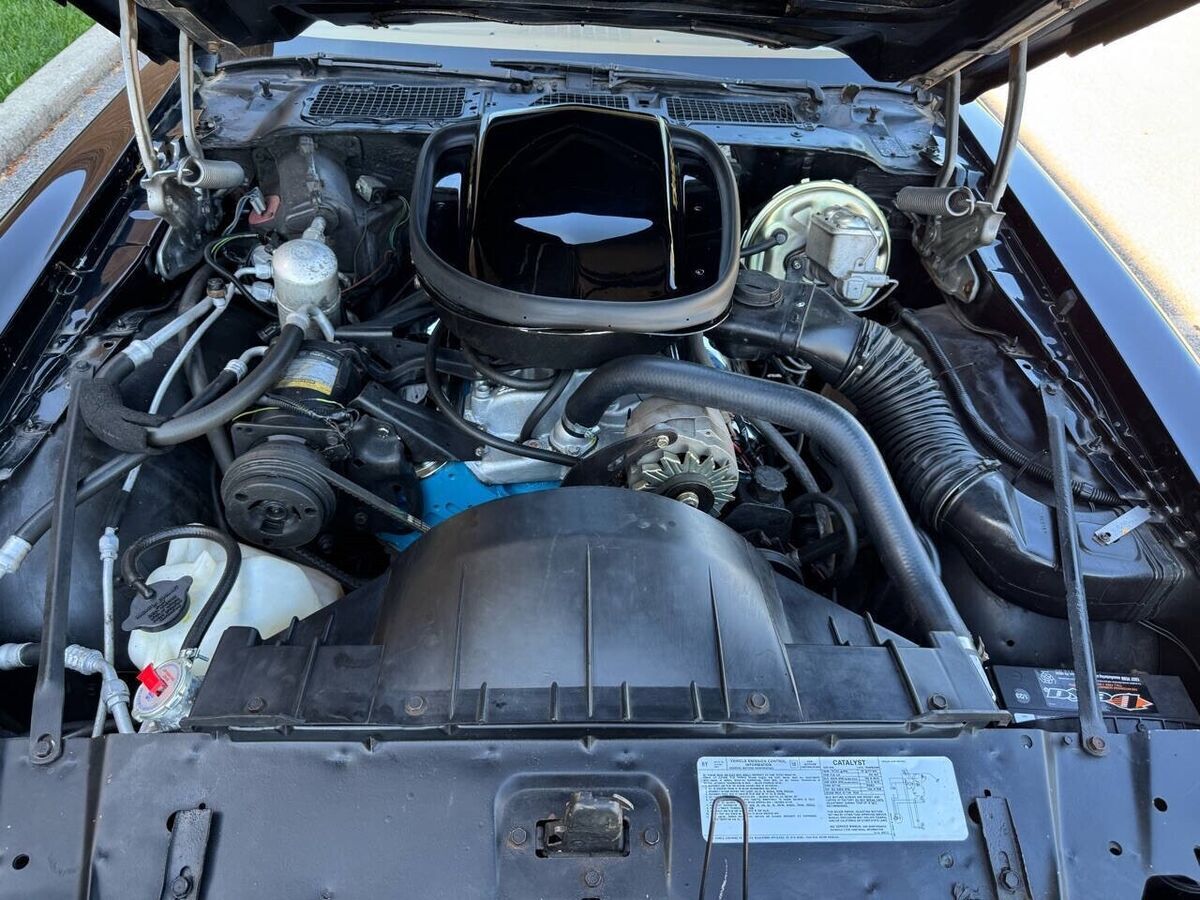 1978 Pontiac Trans Am REAL Z CODE 400CID AUTO FRESH PAINT BLACK GOLD - photo 4