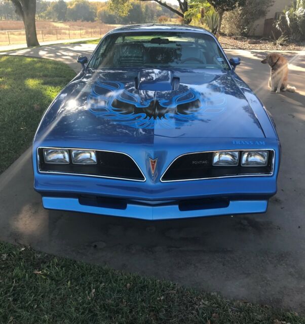 1978 Pontiac Trans Am - photo 2