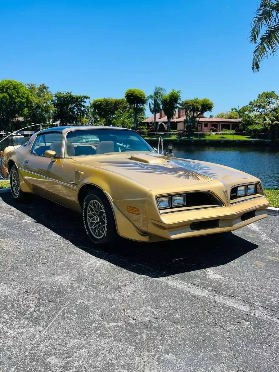 1978 Pontiac Trans Am SE Y88 1978 Pontiac Trans Am