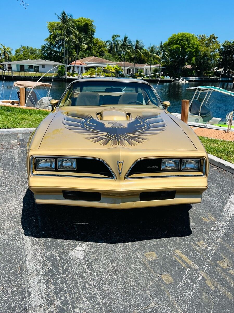 1978 Pontiac Trans Am - photo 2