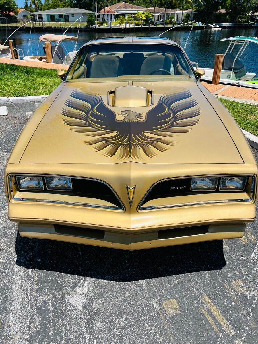1978 Pontiac Trans Am - photo 3