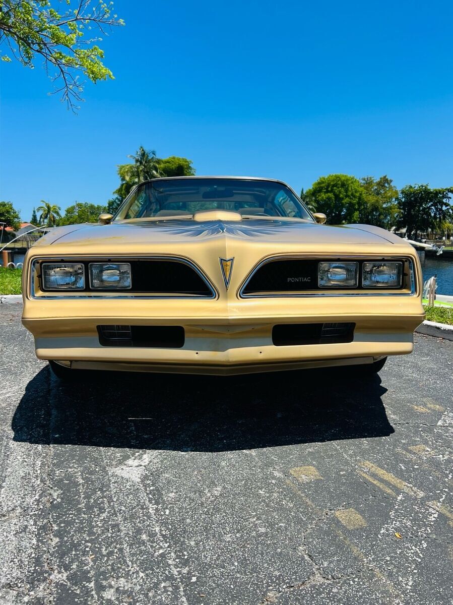 1978 Pontiac Trans Am - photo 8