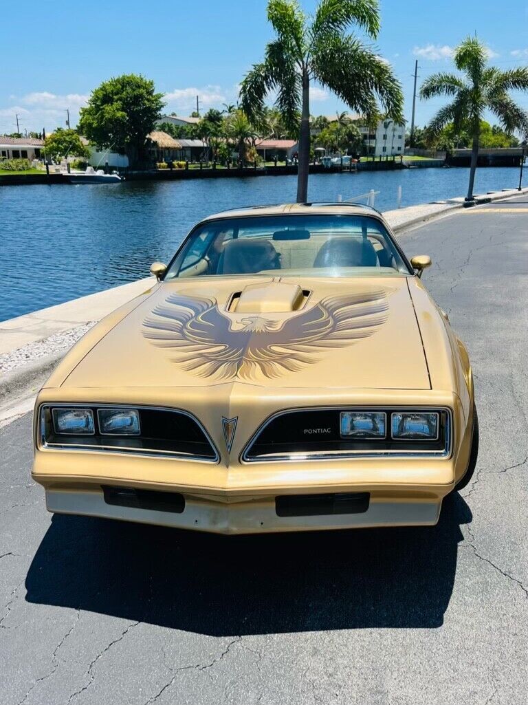 1978 Pontiac Trans Am - photo 9