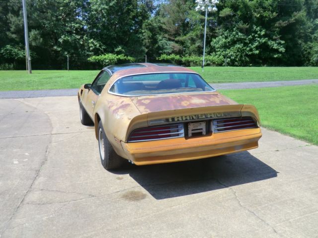 1978 Pontiac Trans Am SE Y88 - photo 5