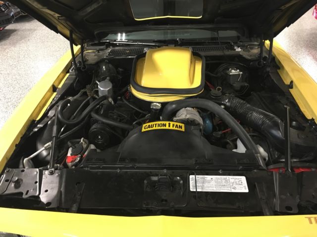 1978 Pontiac Trans Am - photo 10