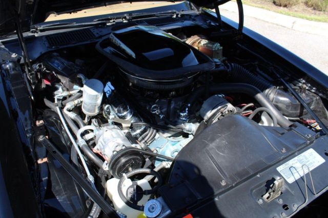 1978 Pontiac Trans Am - photo 5