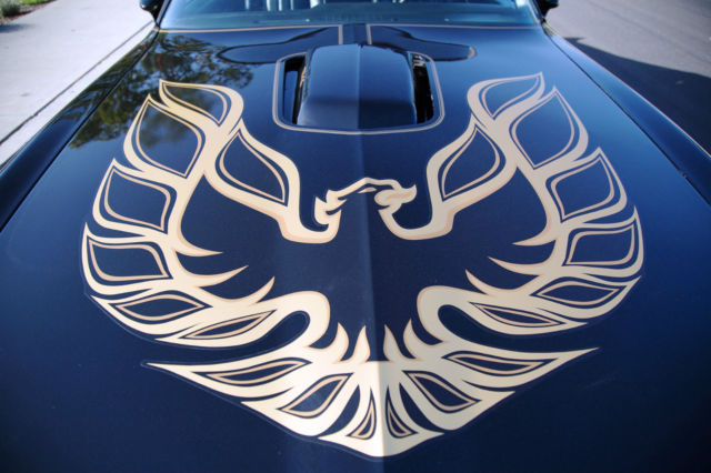 1978 Pontiac Trans Am - photo 9