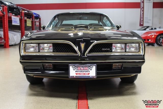 1978 Pontiac Trans Am Special Edition Y82 - photo 8