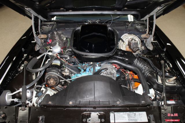 1978 Pontiac Trans Am Special Edition Y82 - photo 9