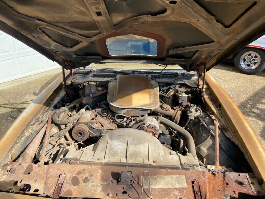 1978 Pontiac Trans Am - photo 7