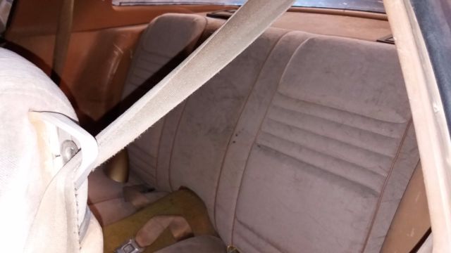 1978 Pontiac Trans Am Y88 Special Edition Package - photo 10