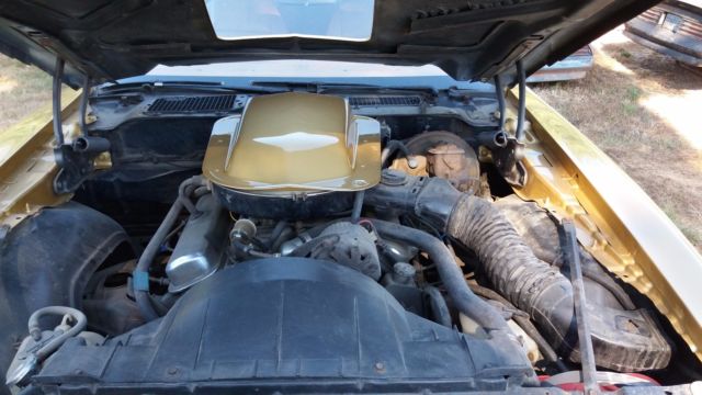 1978 Pontiac Trans Am Y88 Special Edition Package - photo 8
