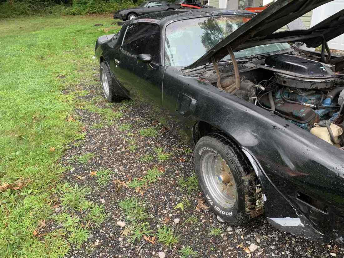 1978 Pontiac Trans Am ws4 y82 - photo 2