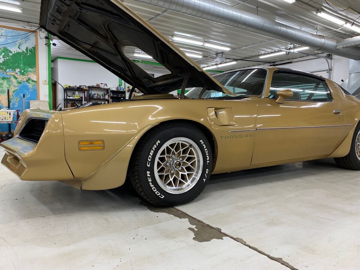 1978 Pontiac Trans Am T-Tops - photo 13