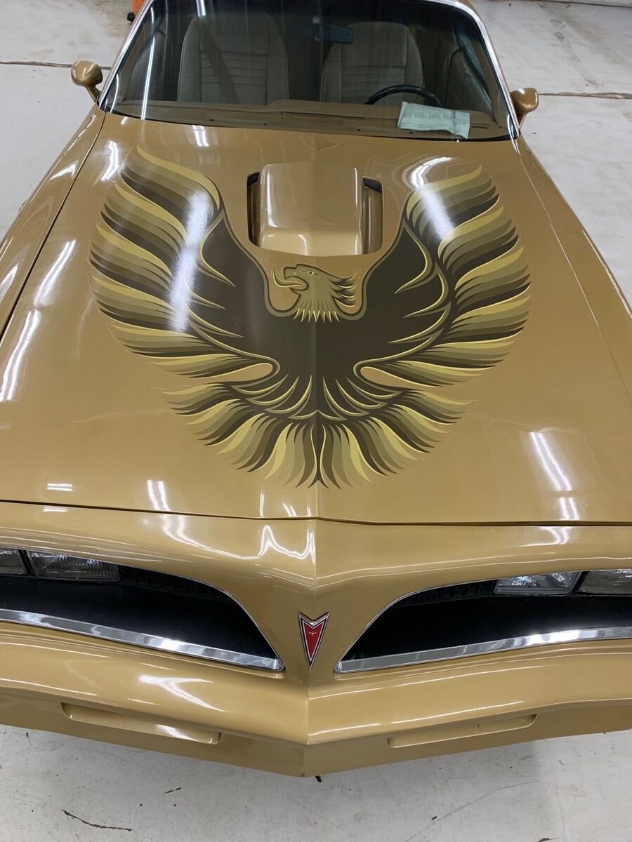 1978 Pontiac Trans Am T-Tops - photo 5