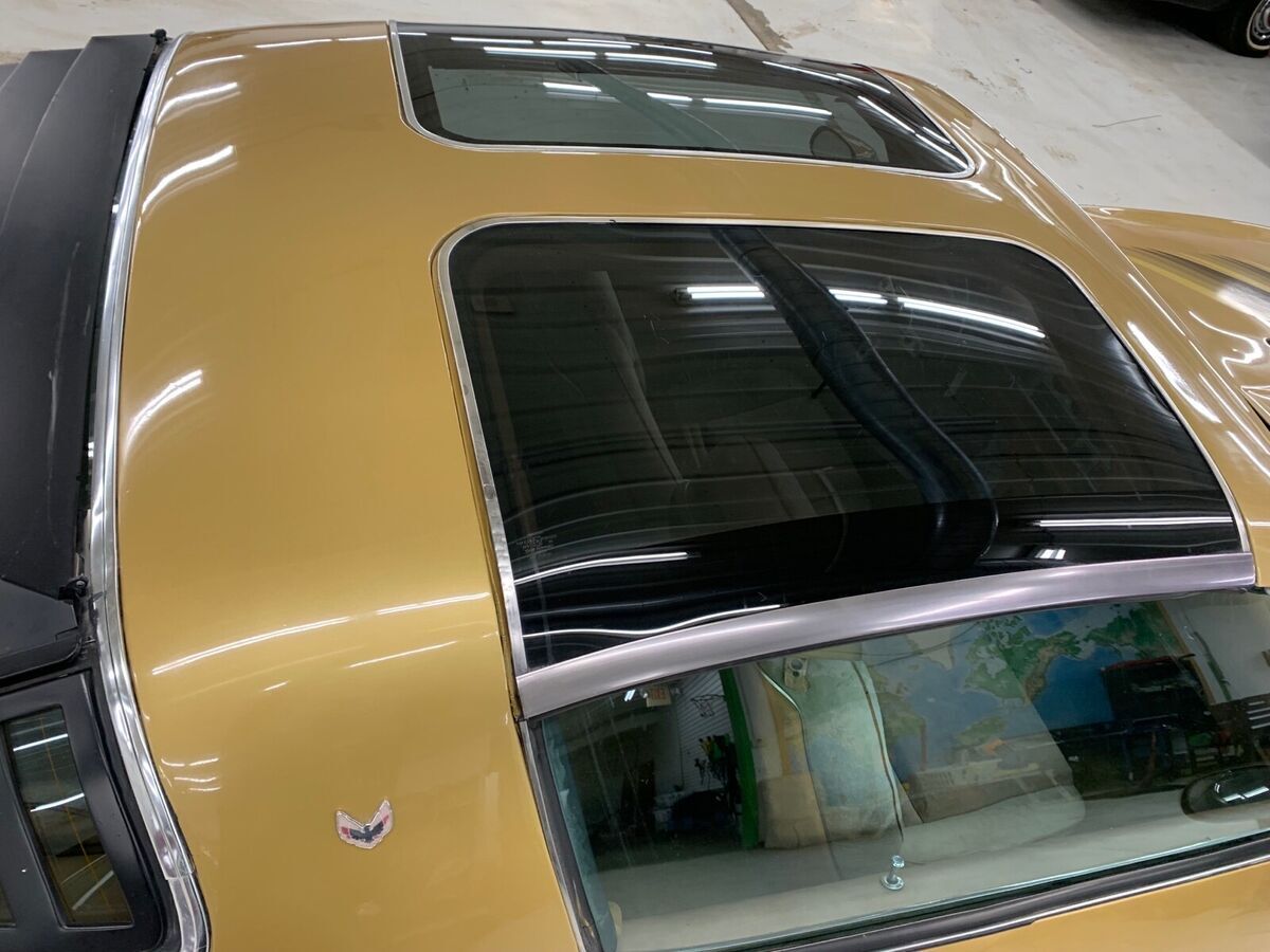 1978 Pontiac Trans Am T-Tops - photo 9