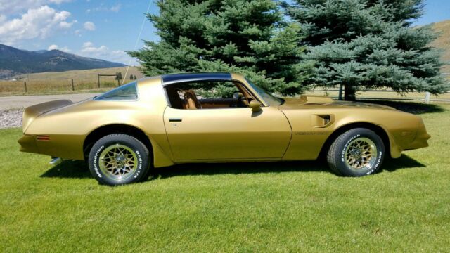 1978 Pontiac Trans Am 4-speed - photo 10