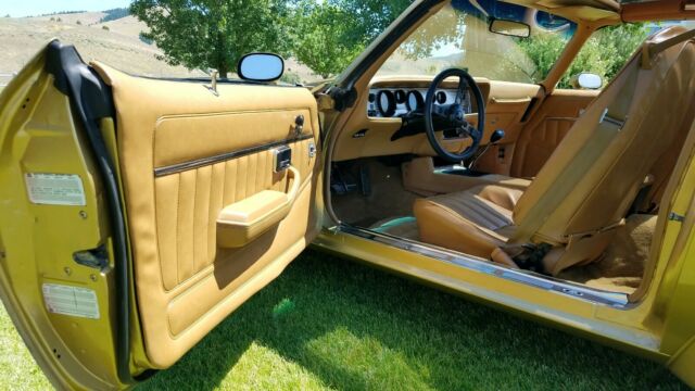 1978 Pontiac Trans Am 4-speed - photo 13