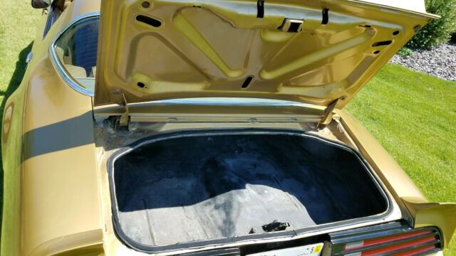 1978 Pontiac Trans Am 4-speed - photo 5