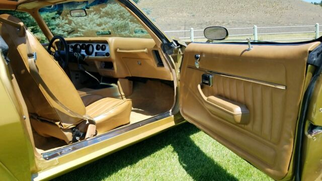 1978 Pontiac Trans Am 4-speed - photo 7