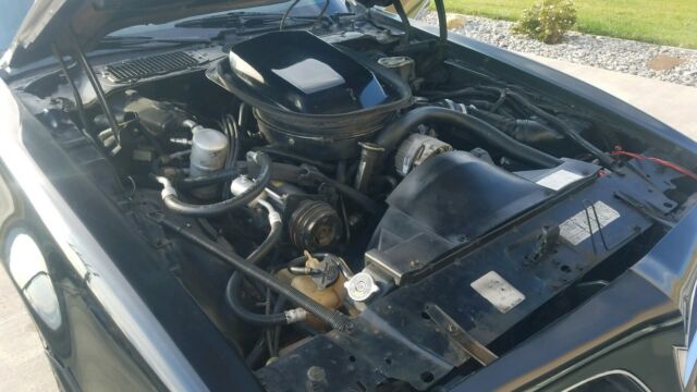 1978 Pontiac Trans Am - photo 11