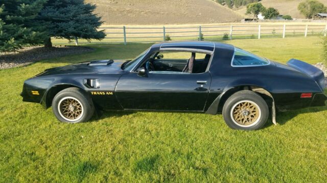 1978 Pontiac Trans Am - photo 3