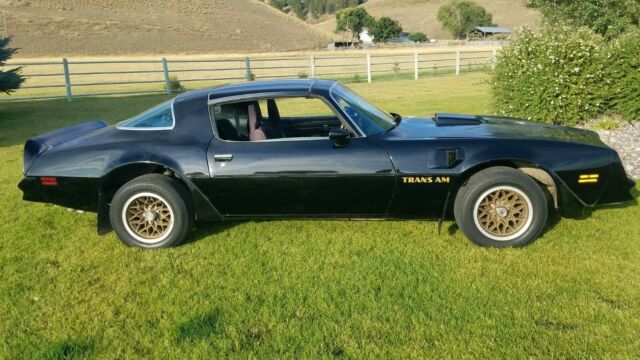 1978 Pontiac Trans Am - photo 5