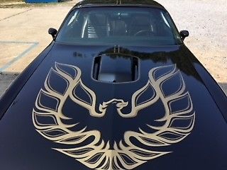 1978 Pontiac Trans Am - photo 10