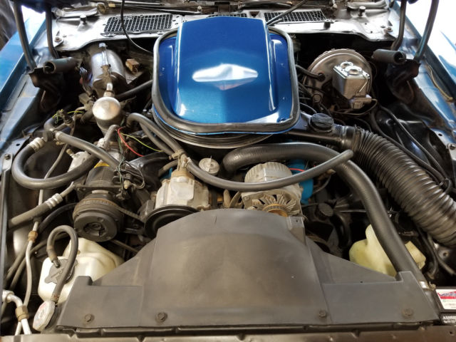 1978 Pontiac Trans Am Firebird - photo 7