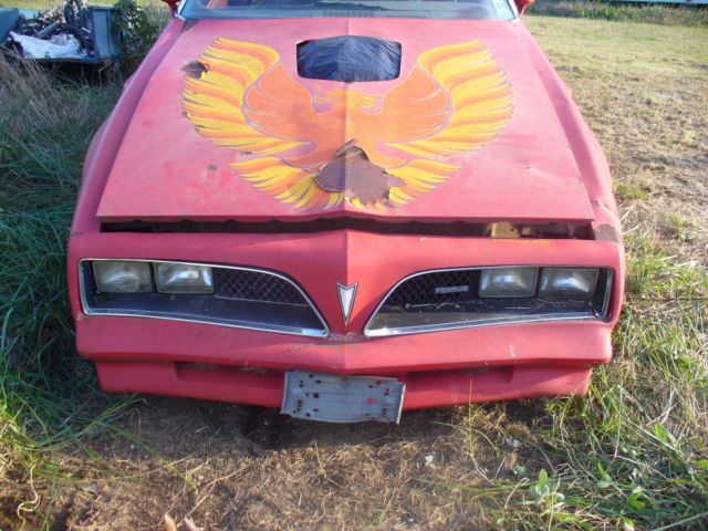 1978 Pontiac Trans Am - photo 2