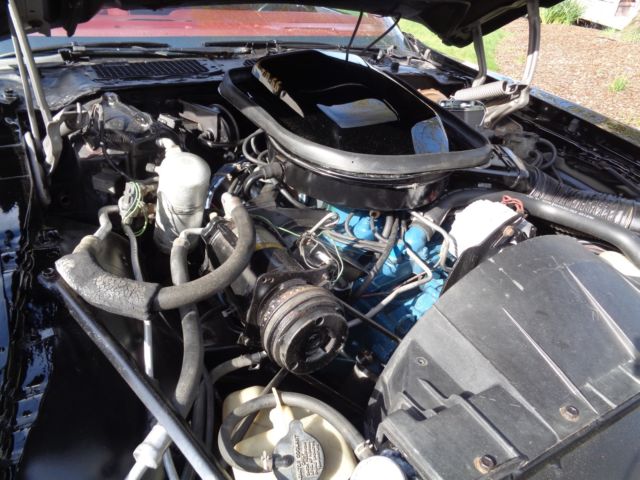 1978 Pontiac Trans Am - photo 11
