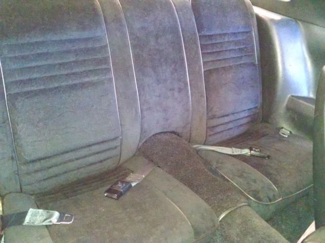 1978 Pontiac Trans Am - photo 10