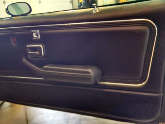 1978 Pontiac Trans Am - photo 11