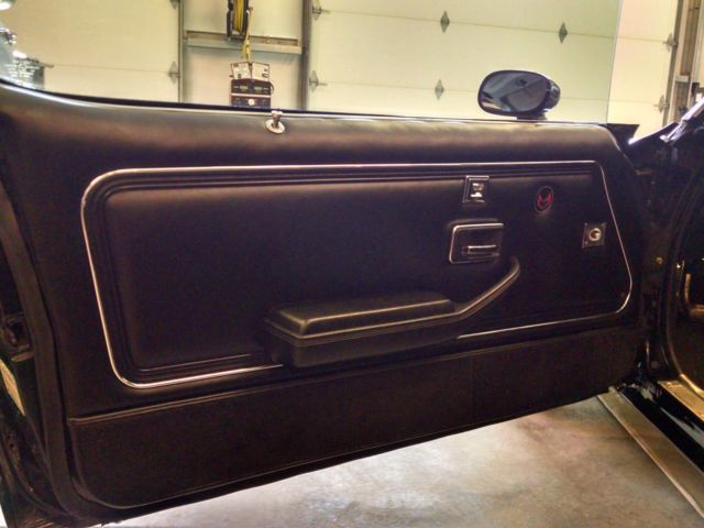 1978 Pontiac Trans Am - photo 9