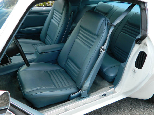1978 Pontiac Trans Am - photo 5