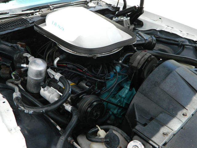 1978 Pontiac Trans Am - photo 8