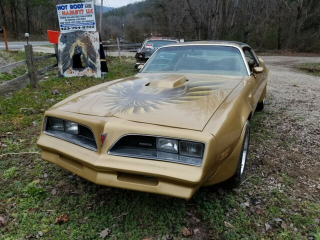 1978 Pontiac Trans Am 2 door - photo 3