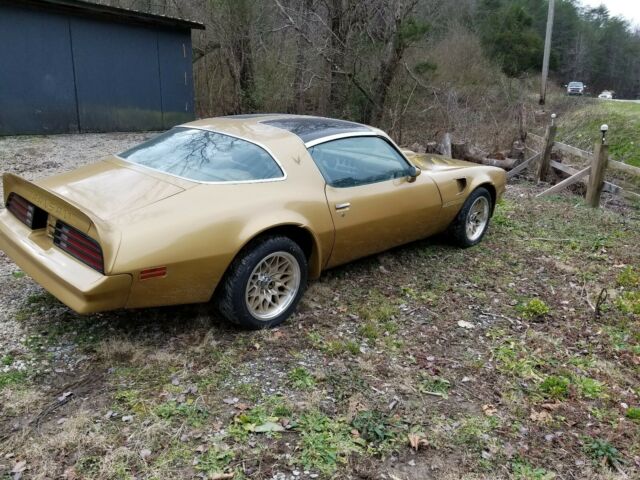 1978 Pontiac Trans Am 2 door - photo 5
