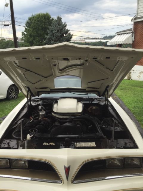 1978 Pontiac Trans Am - photo 2
