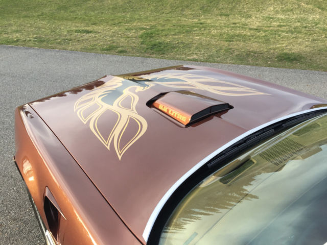 1978 Pontiac Trans Am - photo 8