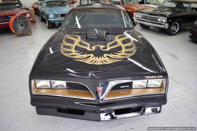 1978 Pontiac Trans Am WS 6 - photo 2